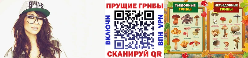 Псилоцибиновые грибы GOLDEN TEACHER Уяр